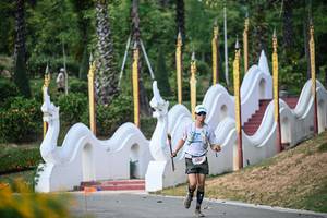 BIB: 
                            <button type="button" onclick="openModal(22505235)" class="btn btn-primary btn-sm float-right btn-popup" data-toggle="modal" data-target=".modal-high-quality">
                        <i class="fas fa-shopping-cart"></i> Add to Cart
                    </button>
                                            <button type="button" onclick="isThisMe(22505235, true)" class="btn btn-success btn-sm float-right btn-popup btn-isme hidden" data-toggle="tooltip" data-placement="bottom" title="นี่คือรูปของคุณใช่ไหม คลิกที่นี่เพื่อเอาเข้าอัลบั้ม">
                        <i class="fas fa-plus"></i> Add to album
                    </button>
                    <button type="button" onclick="isThisMe(22505235, false)" class="btn btn-warning btn-sm float-right btn-popup btn-isnotme hidden">
                        <i class="fas fa-ban"></i> Remove from album
                    </button>